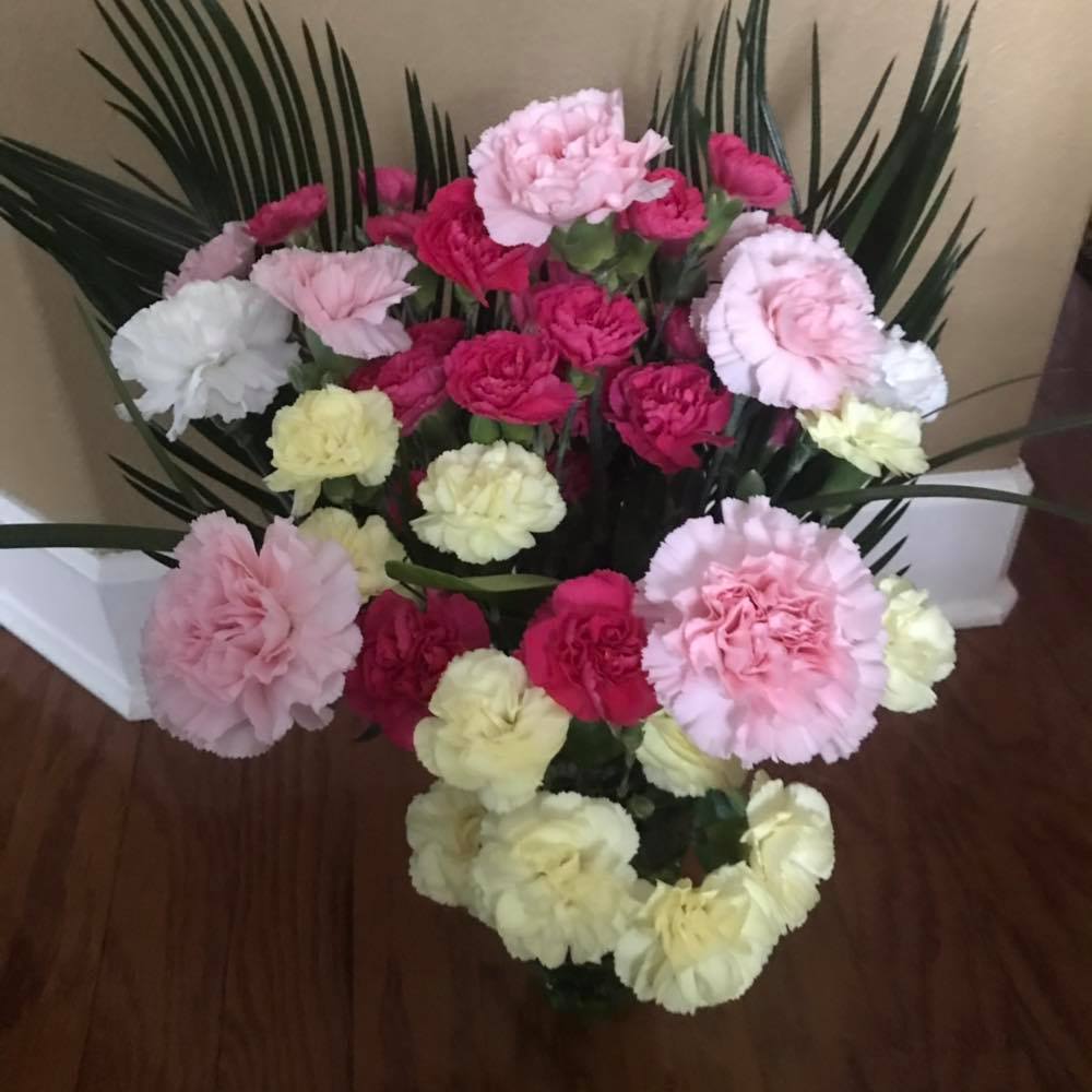 Meet your Posher, Helena